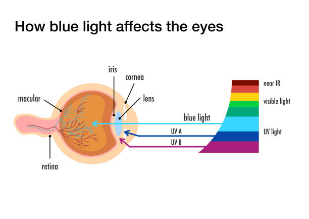 Blue light wavelength spectrum diagram at 450-480 nm